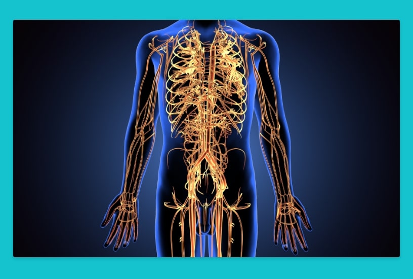 Design reactions start in the central nervous system