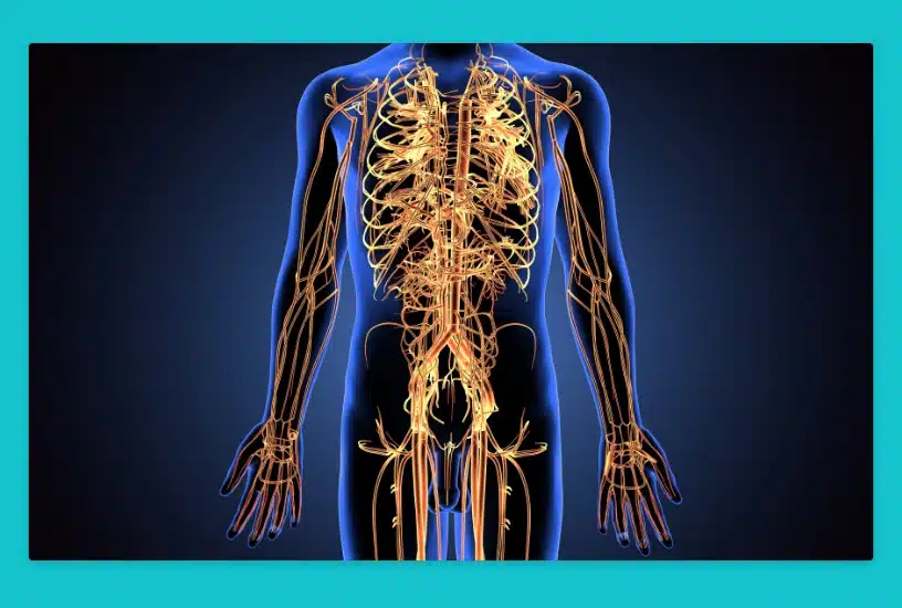 Design reactions start in the central nervous system